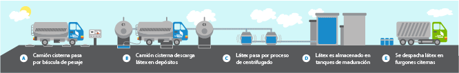 Proceso Ltex Natural